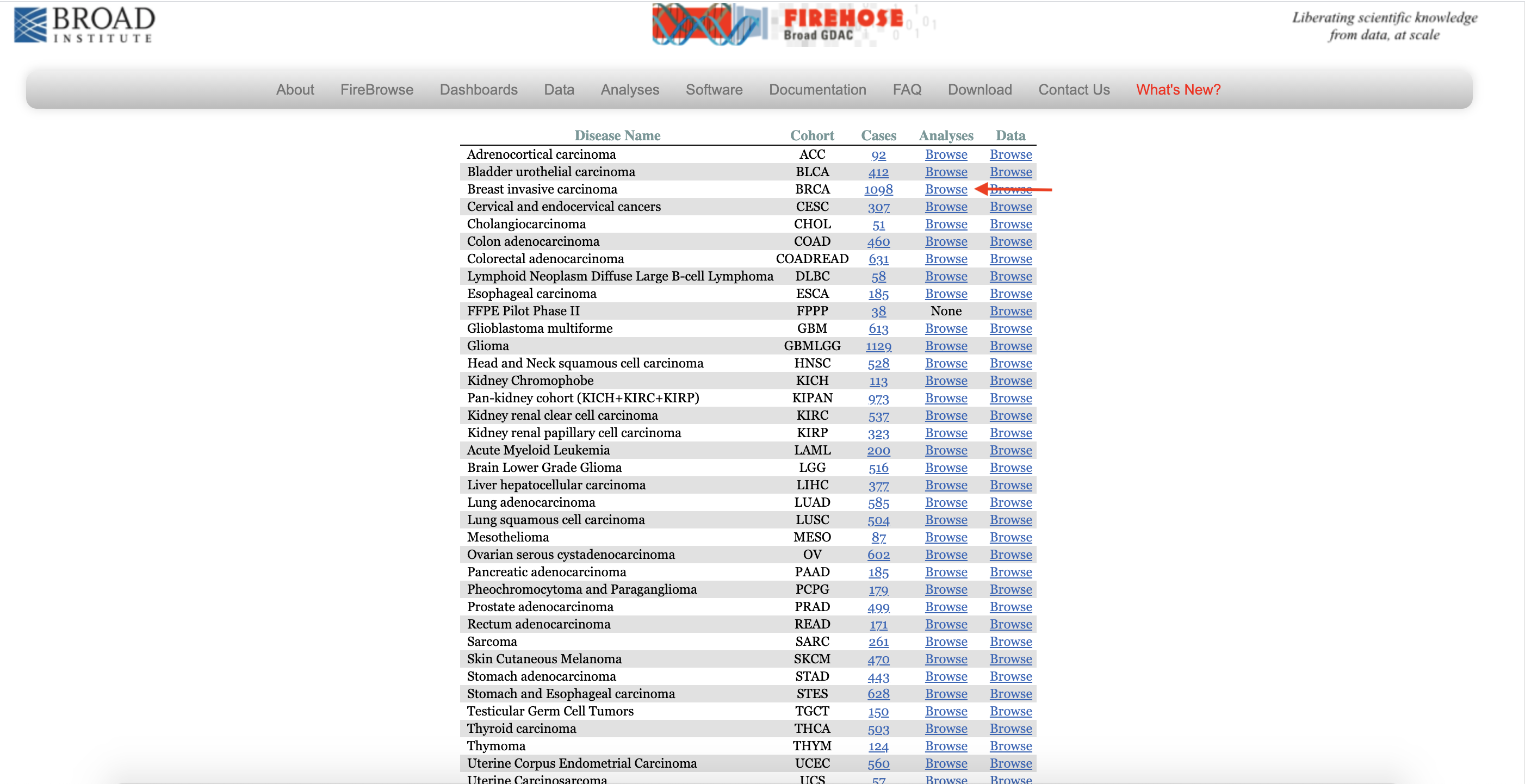 browsedisease1