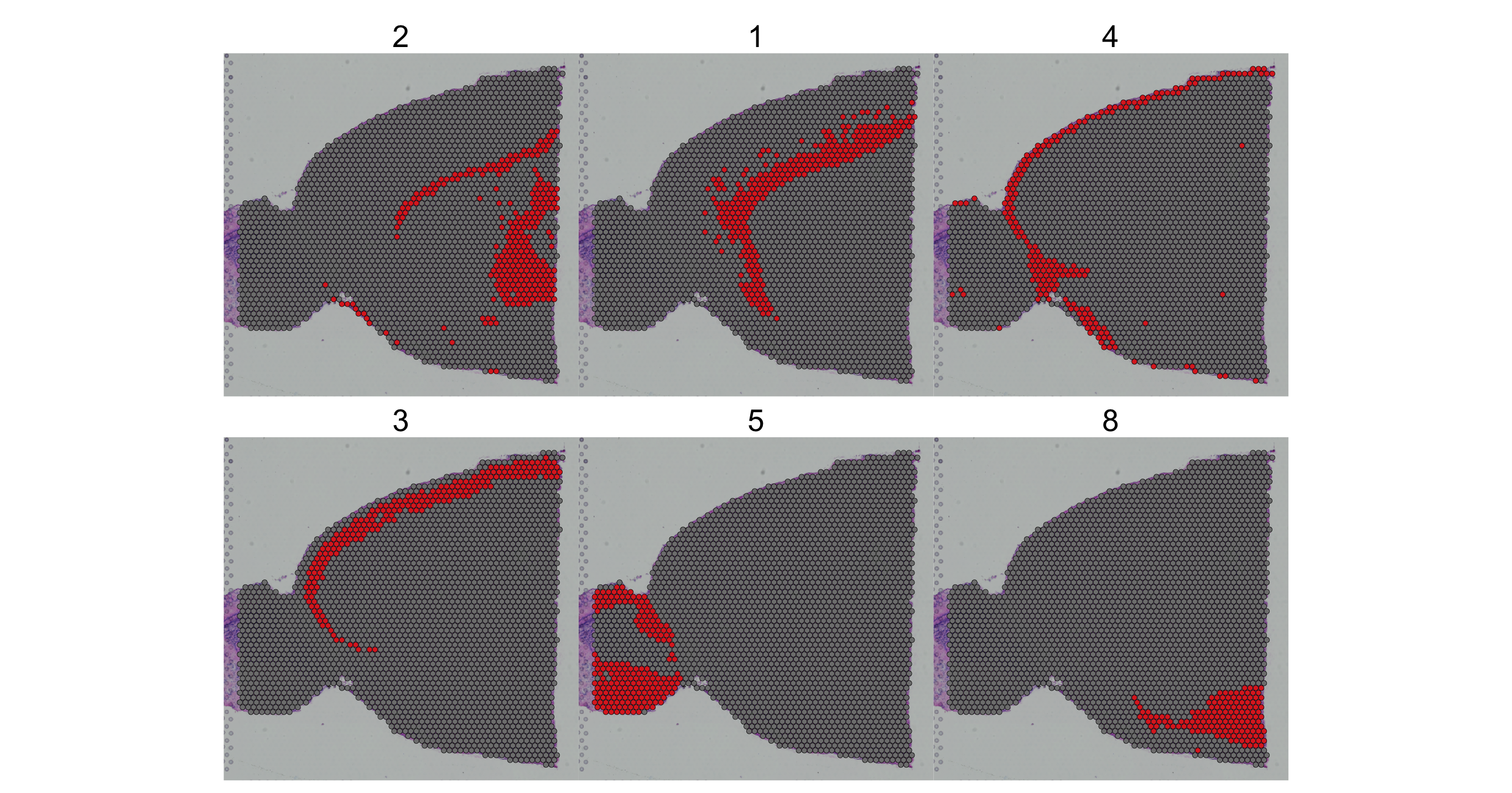 fig5